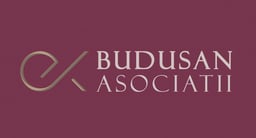 Budusan & Asociatii SPARL logo