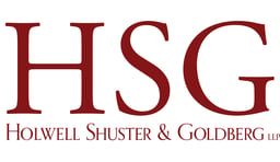 Holwell Shuster & Goldberg LLP logo